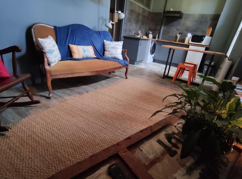 Studio 1 Chambre Ideal Salaries Nomades Montauban Eksteriør bilde